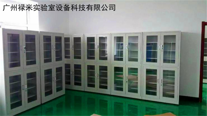 祿米實(shí)驗(yàn)室物品儲存柜有哪些產(chǎn)品？