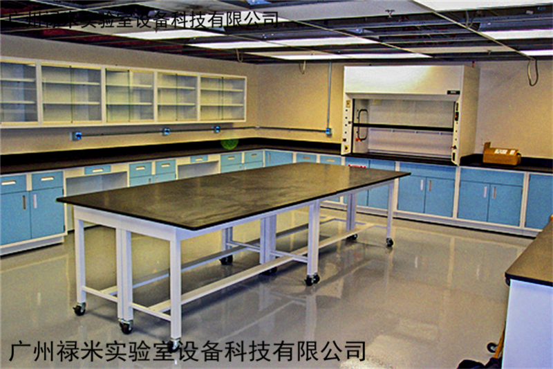 國(guó)家將在“一帶一路”沿線籌建一批實(shí)驗(yàn)室建設(shè)項(xiàng)目